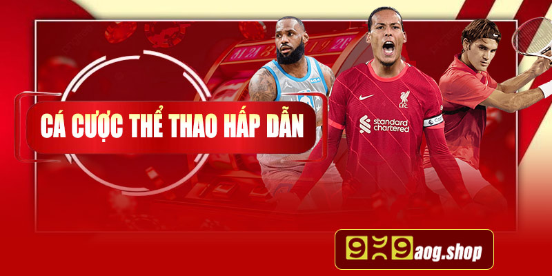 Cá cược thể thao hấp dẫn
