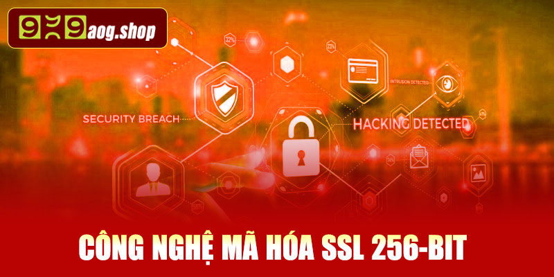Công nghệ mã hóa SSL 256-bit đảm bảo truyền dữ liệu an toàn