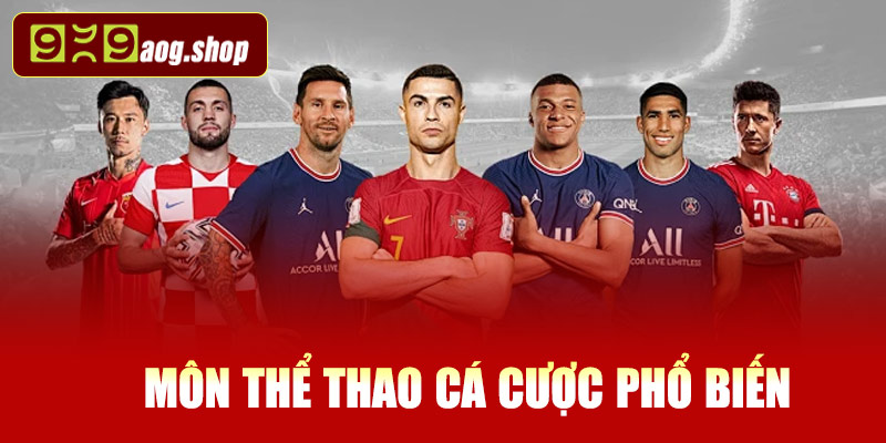 Các môn thể thao cá cược phổ biến tại 999AOG