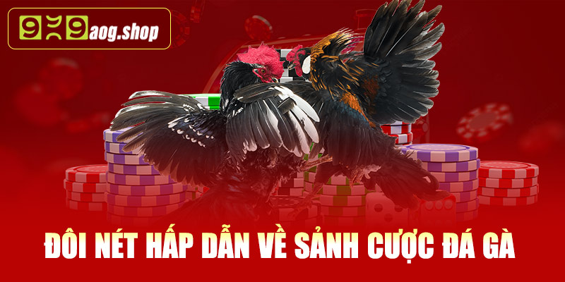 Đôi nét hấp dẫn về sảnh cược đá gà 999AOG