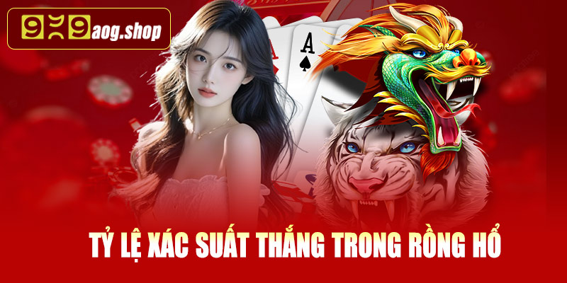 Tỷ lệ xác suất thắng của từng cửa trong Rồng Hổ