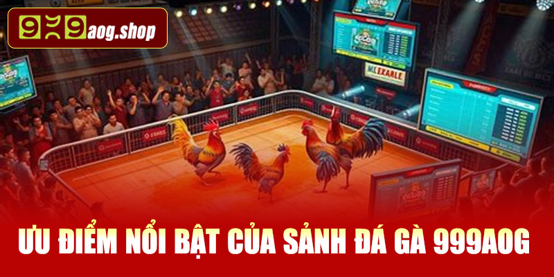 Những ưu điểm nổi bật của sảnh đá gà 999AOG